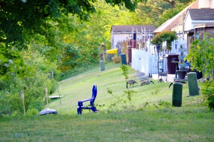 DSC01797 v1