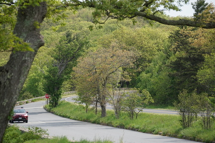 DSC02179