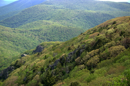 DSC02230 v1