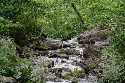 DSC02400