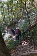 DSC07550