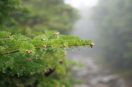 DSC09709 v1